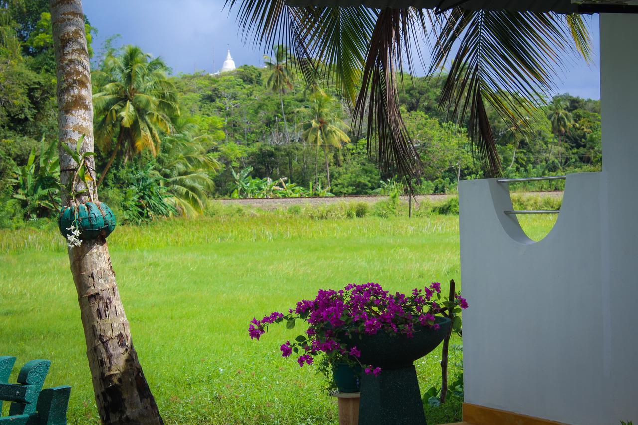 Paddy Field View Resort Mirissa Exterior photo